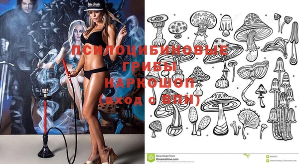 спиды Белокуриха